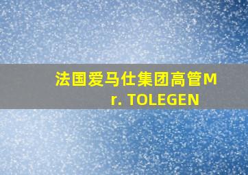 法国爱马仕集团高管Mr. TOLEGEN